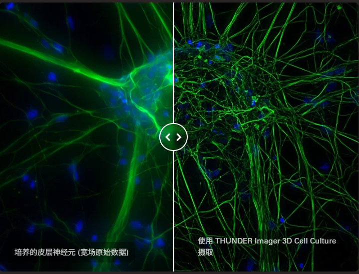 Thunder高分辨显微镜