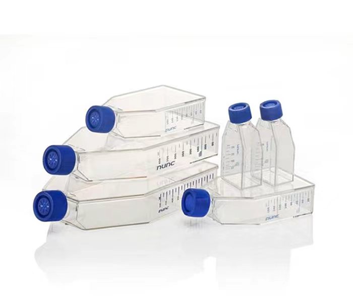 Thermo Nucn 细胞培养瓶