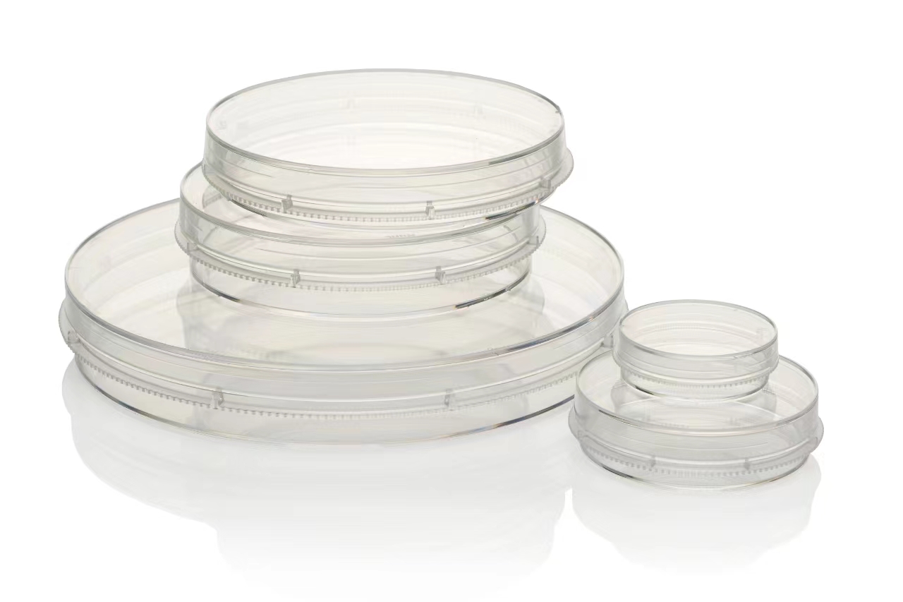 Thermo Nucn 细胞培养皿