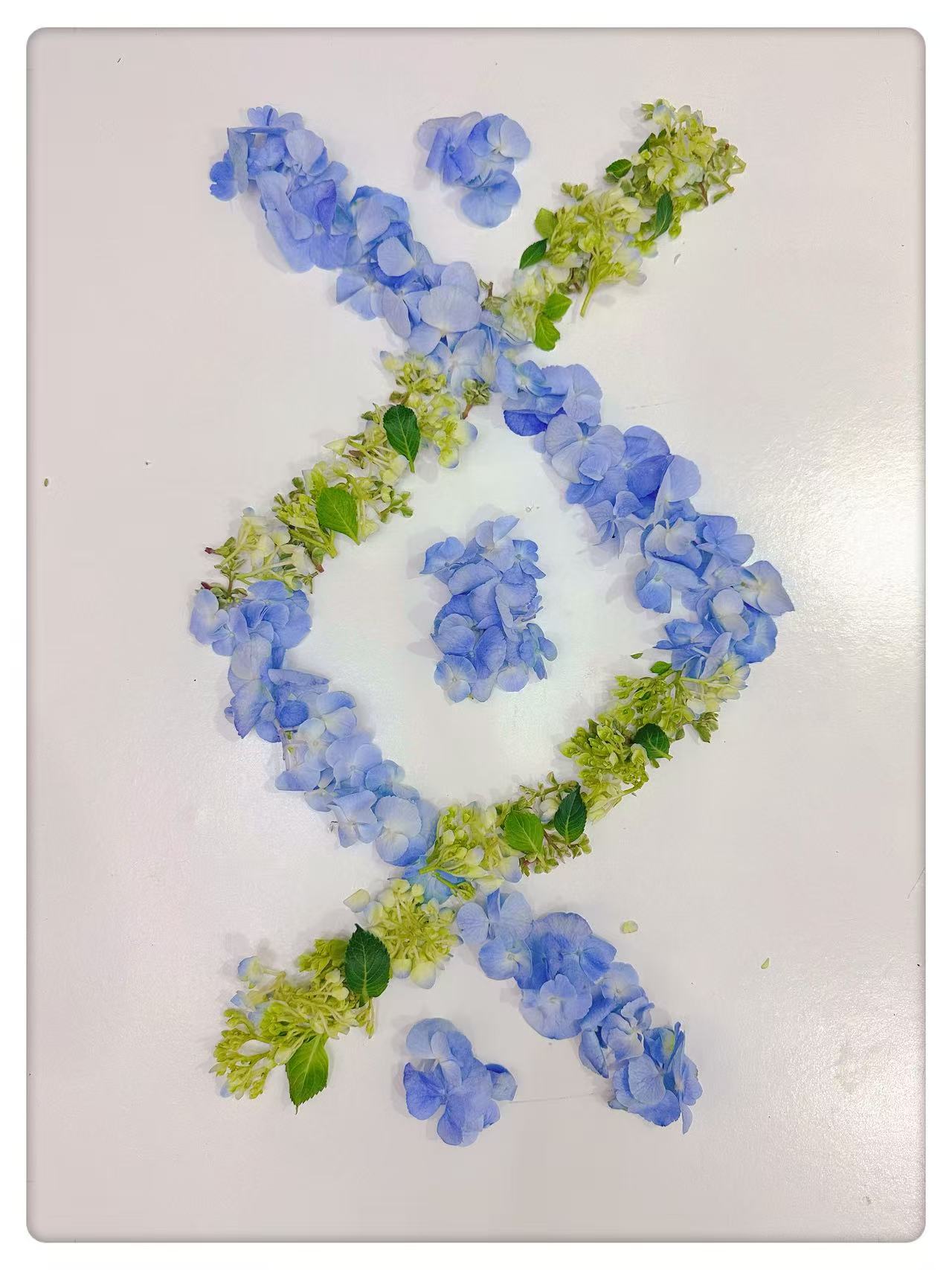 一眼心动 | 快来pick您的心仪作品